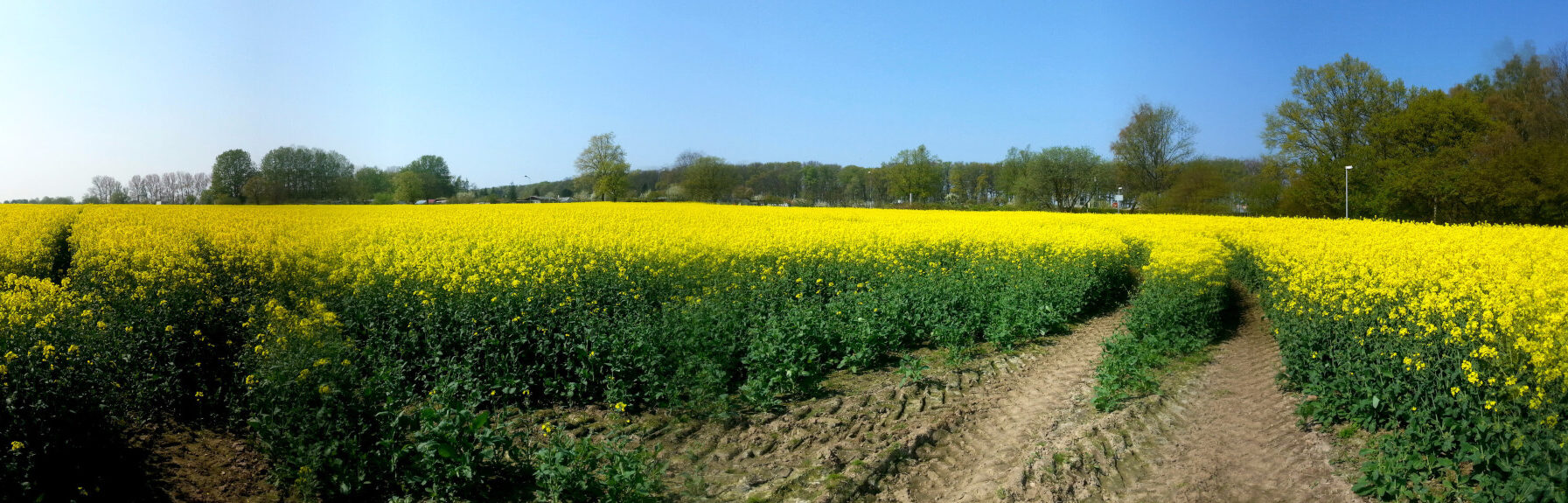 <span>Telegraph</span>