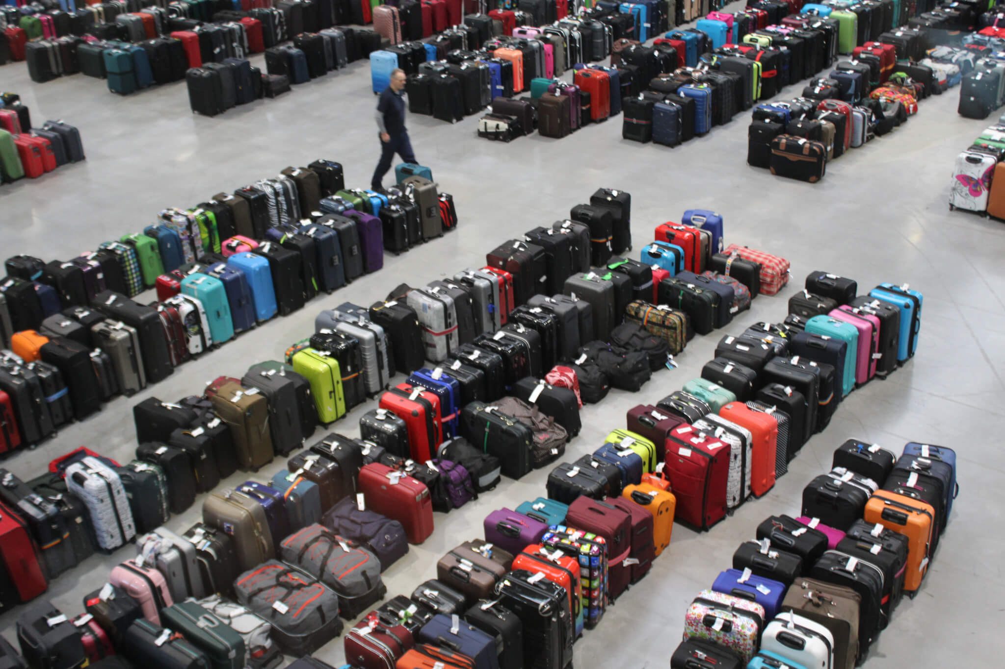 <span>Mangolia</span>